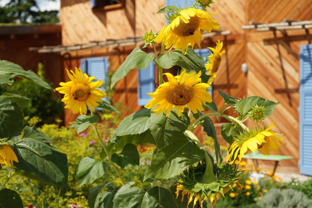 마르시아가 Casa Viva B&B 외부 사진