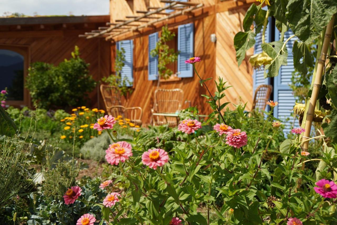 마르시아가 Casa Viva B&B 외부 사진